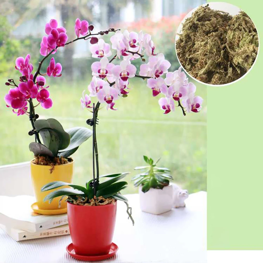 12L Suslėgto Vandens Moss Sausų Samanų Phalaenopsis Orchidėjos Soilless Auginimo Substratas Dirvožemio Suspaustas Pack 3